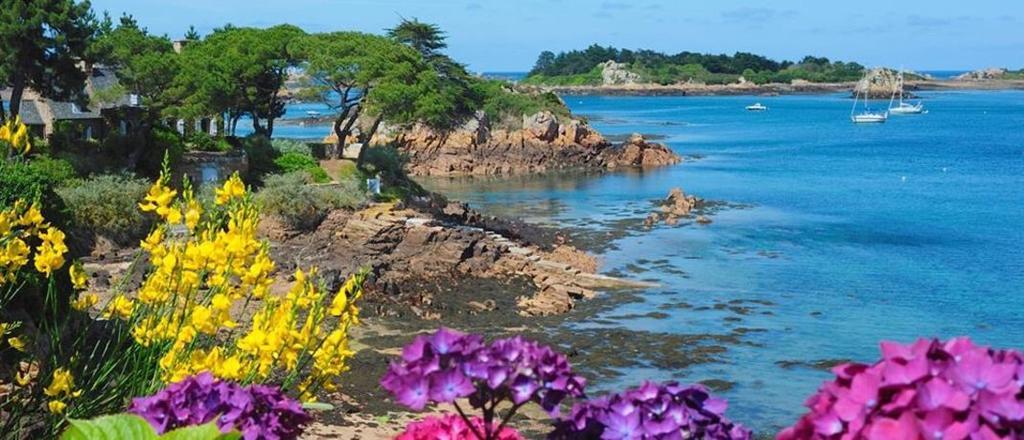 Manoir De Kertalg Hotel Moëlan-sur-Mer Екстериор снимка